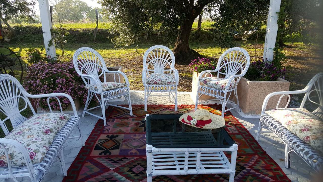 Agriturismo Heaven Capo Vaticano Ngoại thất bức ảnh